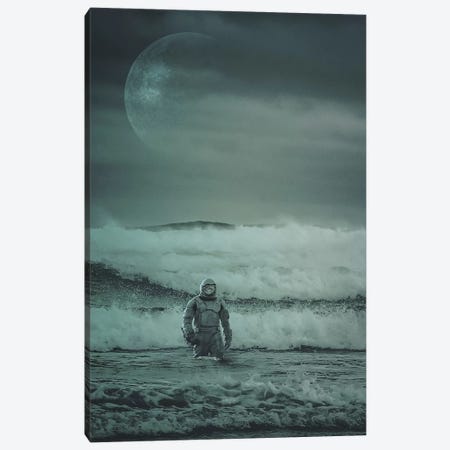 Stranded Canvas Print #ROH33} by Rob Hakemo Canvas Artwork