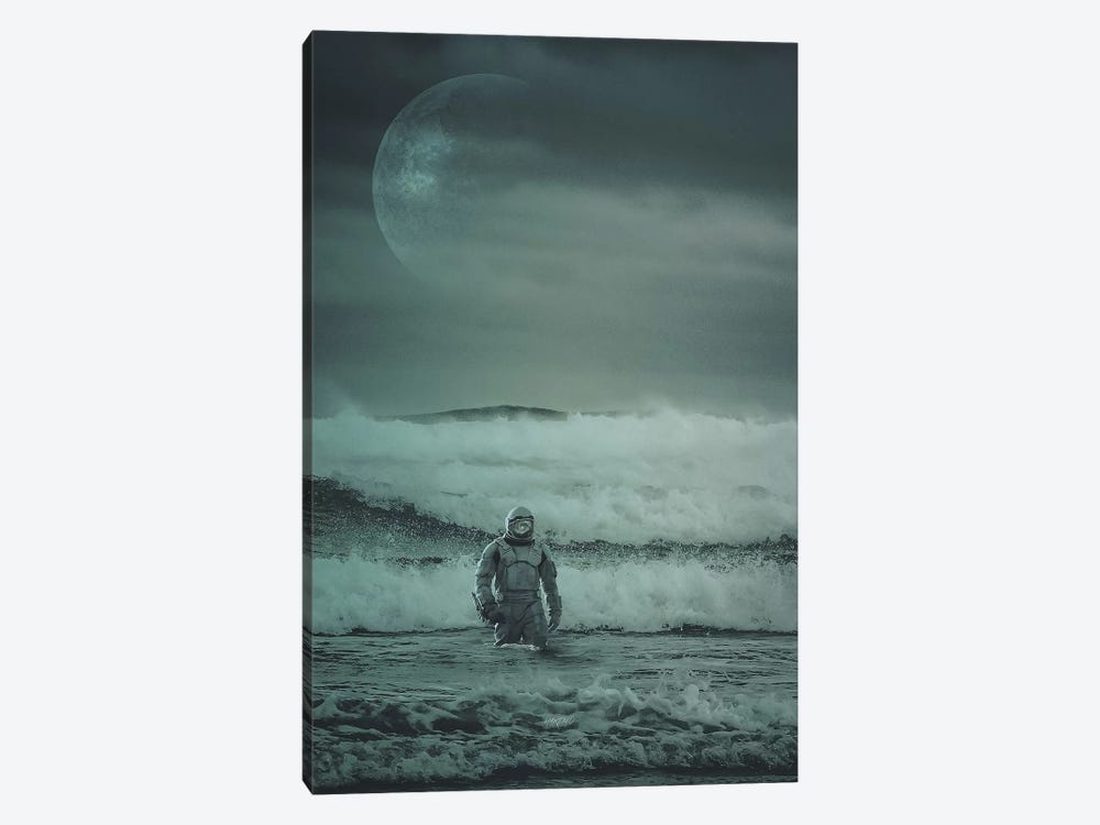 Stranded by Rob Hakemo 1-piece Canvas Art Print