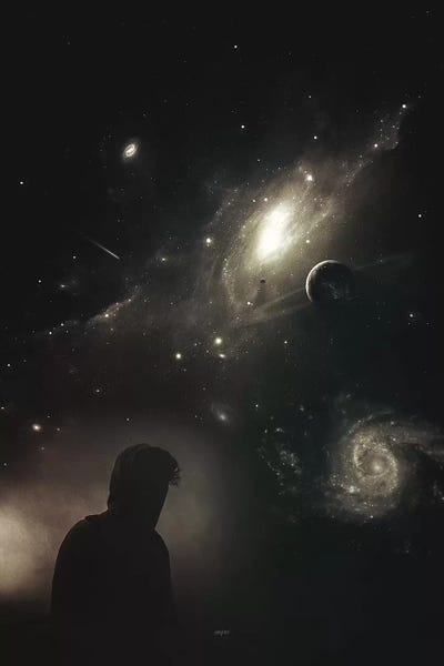 Zealot by Rob Hakemo acrylic art print