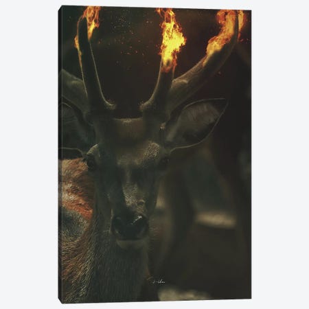 Deer Fire Canvas Print #ROH52} by Rob Hakemo Canvas Artwork