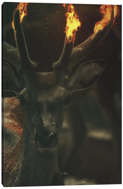 Deer Fire Canvas Art Print - Rob Hakemo