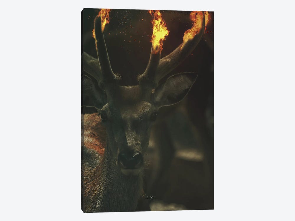 Deer Fire by Rob Hakemo 1-piece Canvas Artwork