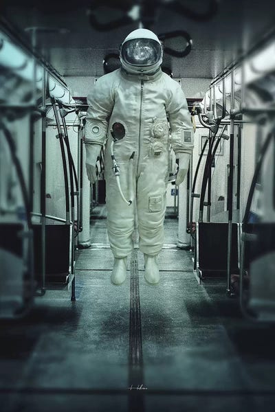 Passenger by Rob Hakemo canvas print