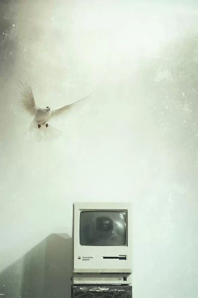 Monochromatic Photography: Astro TV by Rob Hakemo