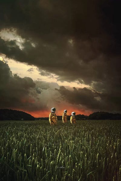 Three by Rob Hakemo framed wall art