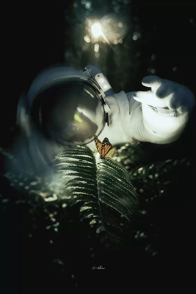 Beauty Found by Rob Hakemo framed wall art