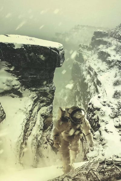 Blizzard by Rob Hakemo framed wall art