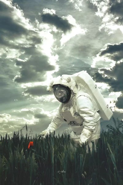 Life... by Rob Hakemo canvas print