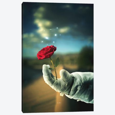 Thorns & Roses Canvas Print #ROH90} by Rob Hakemo Canvas Art