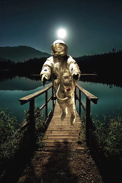 Visitor by Rob Hakemo framed wall art