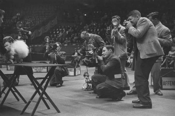 Poodles: Dogshow Photographers 1949 by Ruth Orkin
