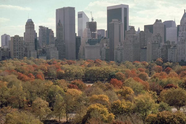 Central Park: Red Autumn (Central Park NYC, 1979) by Ruth Orkin