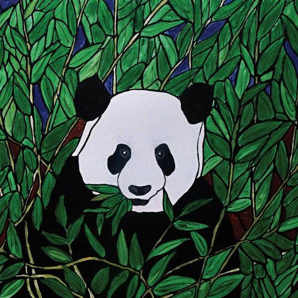 Bamboo: Panda Bear by Rachel Olynuk