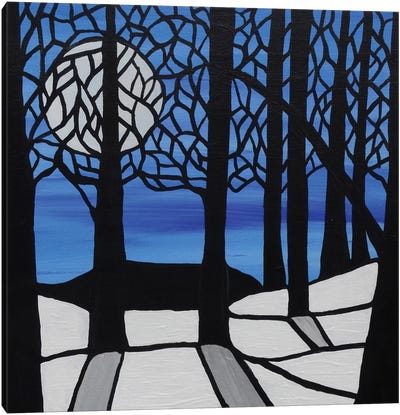 Cool Winters Night Canvas Art Print - Rachel Olynuk