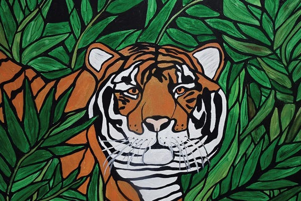 Grasses: Tiger In The Grass by Rachel Olynuk