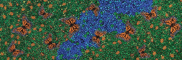 Monarch Butterflies