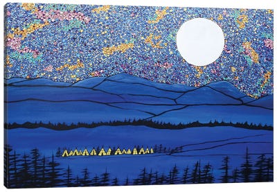 Under The Stars Canvas Art Print - Rachel Olynuk