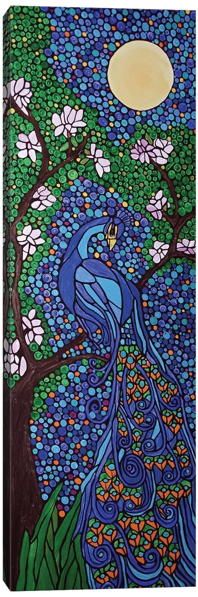 Peacock Canvas Art Print - Rachel Olynuk