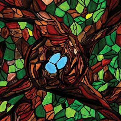 Canvas Print: Little Robins Eggs by Rachel Olynuk - thumbnail