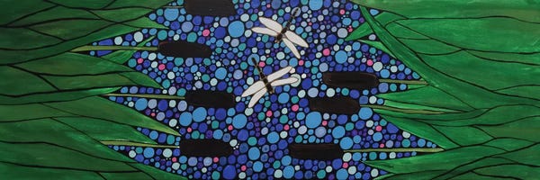 Dragonflies: Dragonflies by Rachel Olynuk