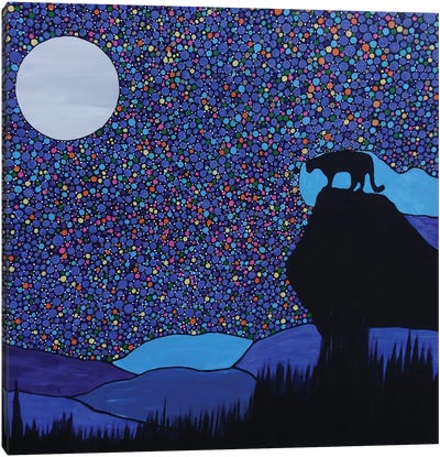On Top Of The Mountain Canvas Art Print - Rachel Olynuk