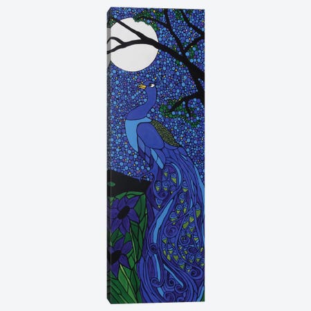 Peacock Blue Canvas Print #ROL33} by Rachel Olynuk Canvas Artwork