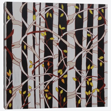 Birch Trees Canvas Print #ROL3} by Rachel Olynuk Canvas Art
