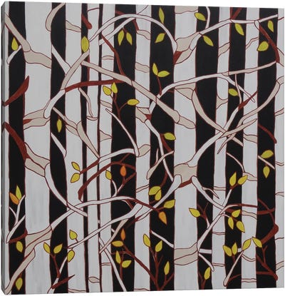 Birch Trees Canvas Art Print - Rachel Olynuk