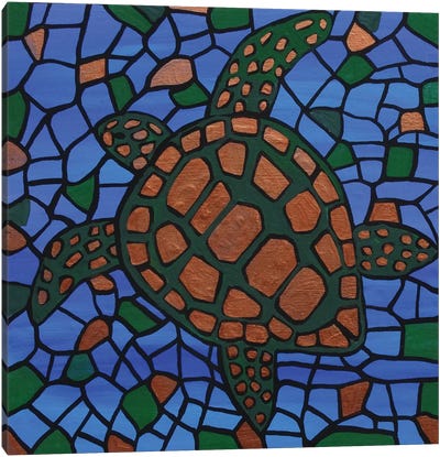 Turtle Canvas Art Print - Rachel Olynuk