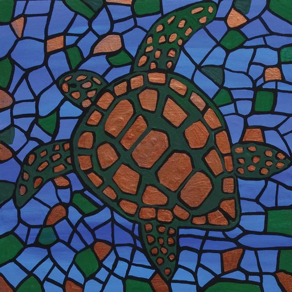 Turtles: Turtle by Rachel Olynuk