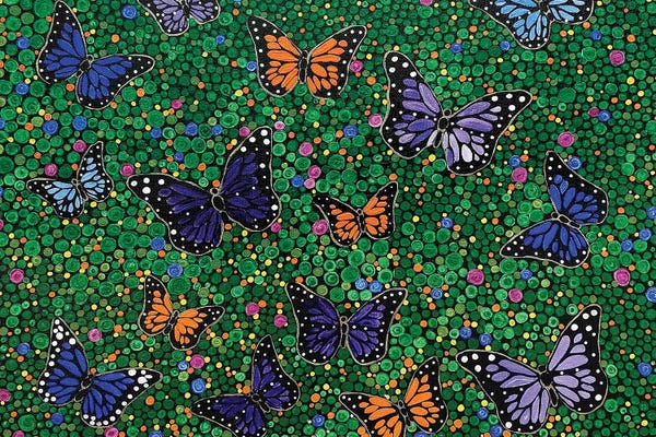 Rachel Olynuk: Butterfly Garden by Rachel Olynuk