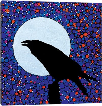 Raven's Magic Canvas Art Print - Rachel Olynuk