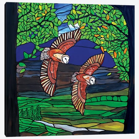 Barn Owls Flight Canvas Print #ROL80} by Rachel Olynuk Canvas Art Print