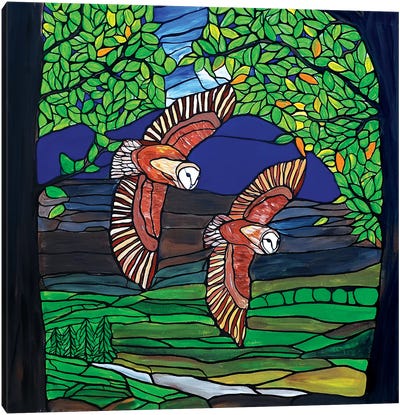 Barn Owls Flight Canvas Art Print - Rachel Olynuk