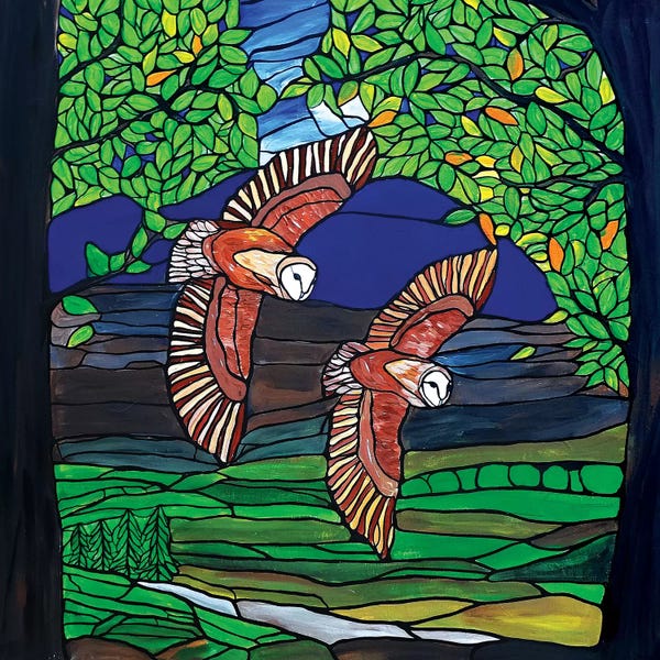 Rachel Olynuk: Barn Owls Flight by Rachel Olynuk