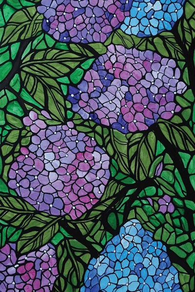 Hydrangeas: Hydrangeas by Rachel Olynuk