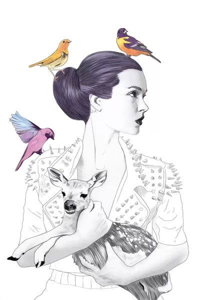 Baby Animals: Princess Pike by Jenny Rome