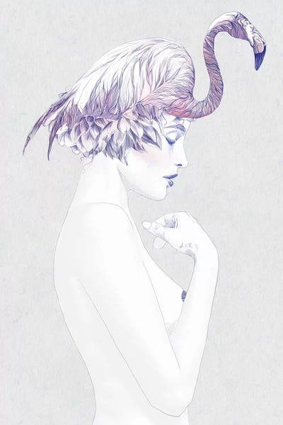 Flamingos: Dahlia II by Jenny Rome