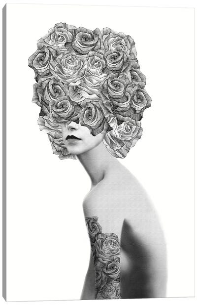 Rose I Canvas Art Print - Jenny Rome