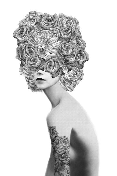 Floral Portraits: Rose I by Jenny Rome