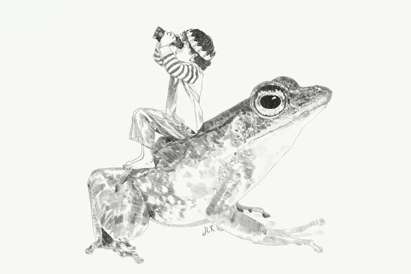 Frogs: A Bigger World III by Jenny Rome