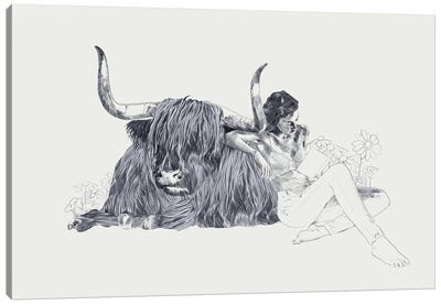 Taurus Canvas Art Print - Cow Art