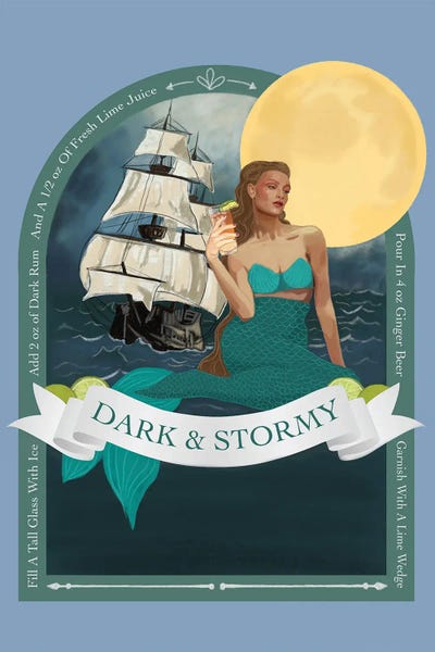 Dark And Stormy by Jenny Rome canvas print