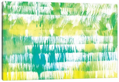 Grass Minis XXIV Canvas Art Print - Rashelle Roos