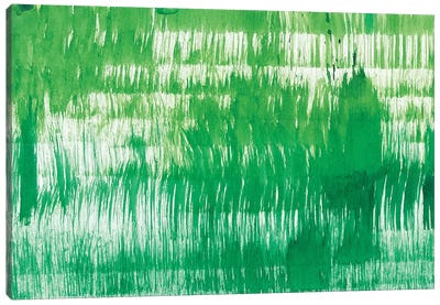 Grass Minis XV Canvas Art Print - Rashelle Roos