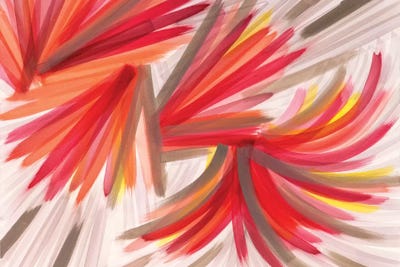 Coral by Rashelle Roos art print