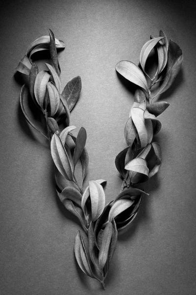 Victory by Barry Rosenthal metal wall art