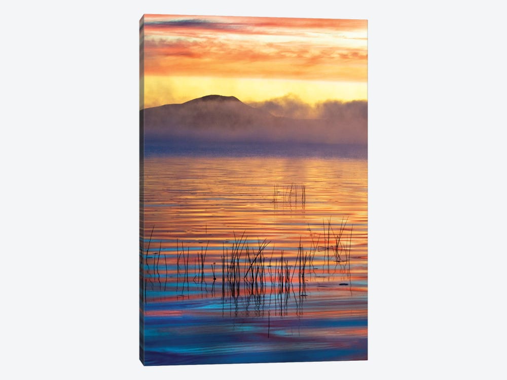 Foggy Sunrise, Racquette Lake, Town Of Long Lake, Hamilton County, New York, USA by Nancy Rotenberg 1-piece Canvas Art Print