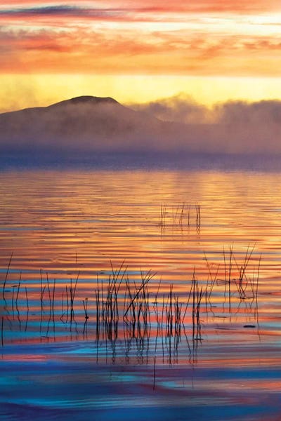 Water Close-Ups: Foggy Sunrise, Racquette Lake, Town Of Long Lake, Hamilton County, New York, USA by Nancy Rotenberg
