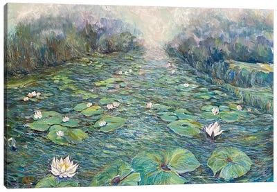 Abandoned Pond Canvas Art Print - Water Lilies Collection